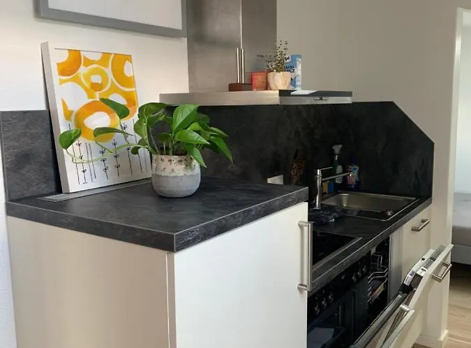 Schoene, Grosse Direkt Am Donauradweg & Keltenstadt Heuneburg Lägenhet *