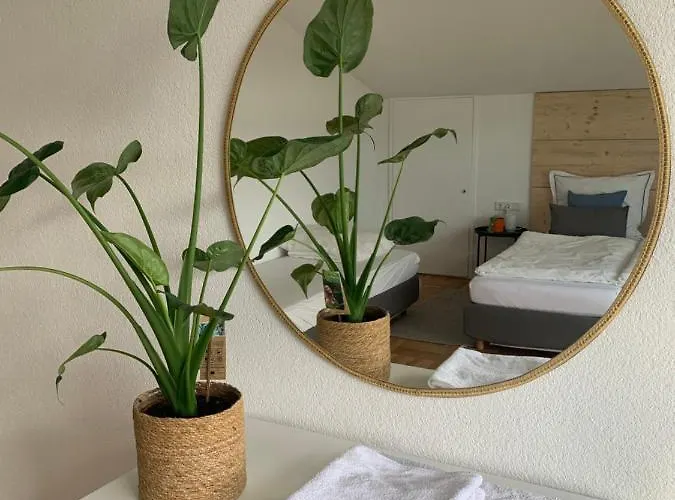 Schoene, Grosse Direkt Am Donauradweg & Keltenstadt Heuneburg * Herbertingen