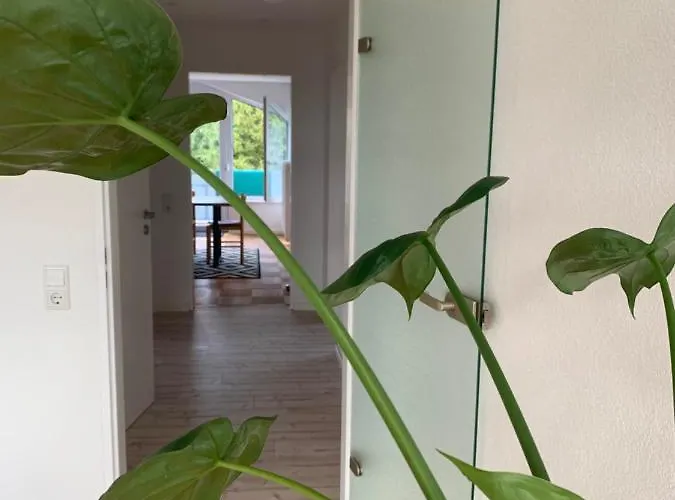 Schoene, Grosse Direkt Am Donauradweg & Keltenstadt Heuneburg Lägenhet *